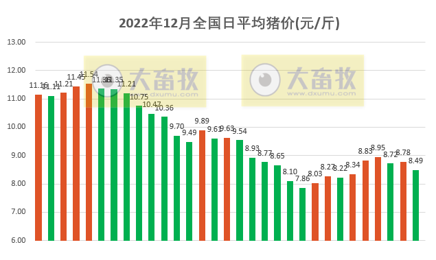 2022.12.31今日猪价