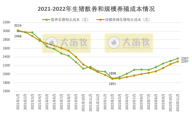 2022年11月规模养猪和散养成本继续增长，因猪价下降，盈利均有收窄，散养已跌破1000元