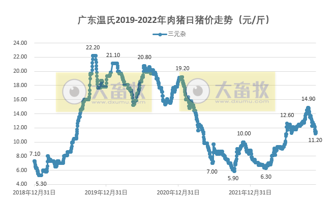 2022年11月生猪行业数据汇总