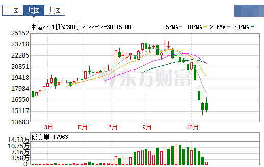 2023.01.01今日猪价