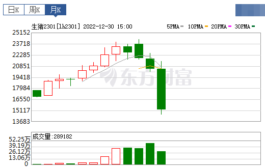 2023.01.01今日猪价