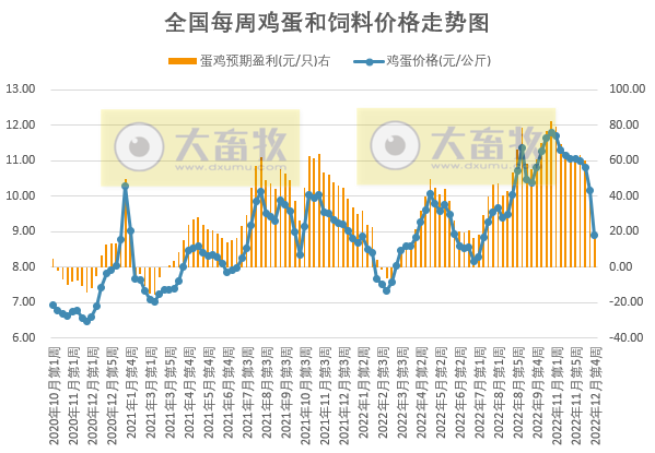 生猪盈利跌破200元，肉鸡亏损破纪录，蛋鸡盈利大幅下降——发改委发布2022年12月第4周生猪和家禽盈利情况及预期