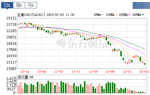2023.01.03今日猪价