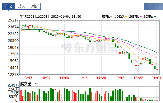 2023.01.04今日猪价