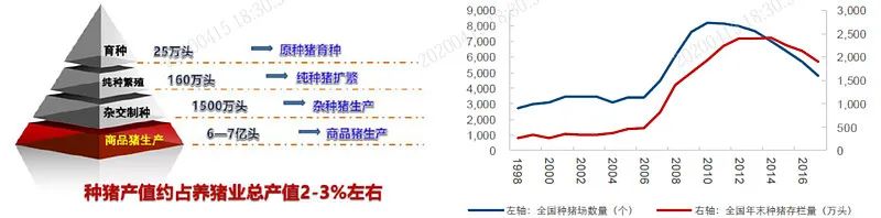 牧原股份初步理解