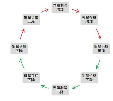 牧原股份初步理解
