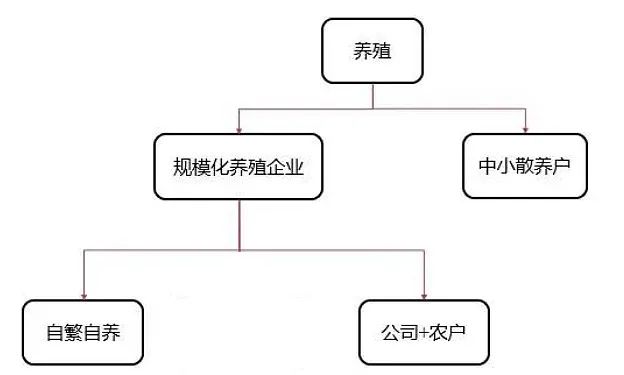 牧原股份初步理解
