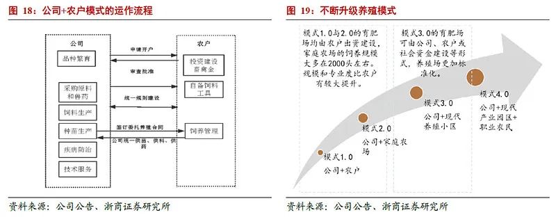 牧原股份初步理解