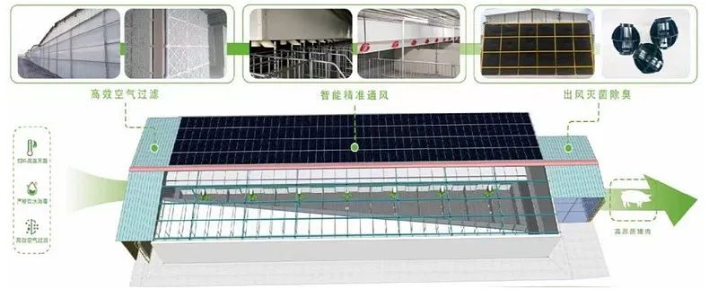 牧原股份初步理解
