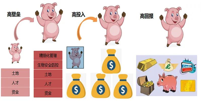 牧原股份初步理解