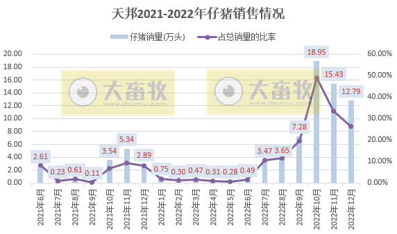 天邦2022年12月及年度生猪销售情况