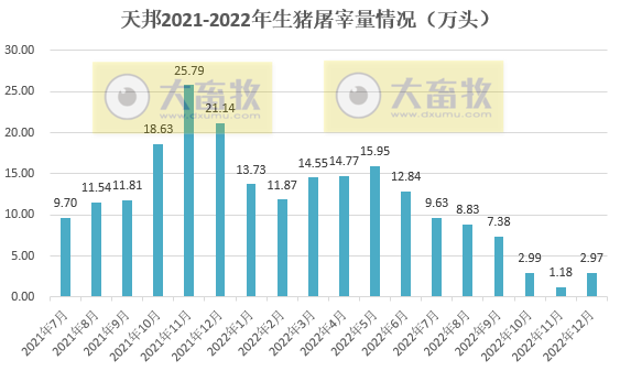 天邦2022年12月及年度生猪销售情况