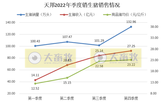 天邦2022年12月及年度生猪销售情况
