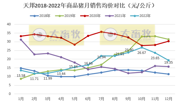 天邦2022年12月及年度生猪销售情况