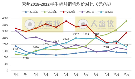 天邦2022年12月及年度生猪销售情况