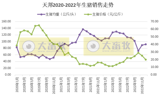 天邦2022年12月及年度生猪销售情况