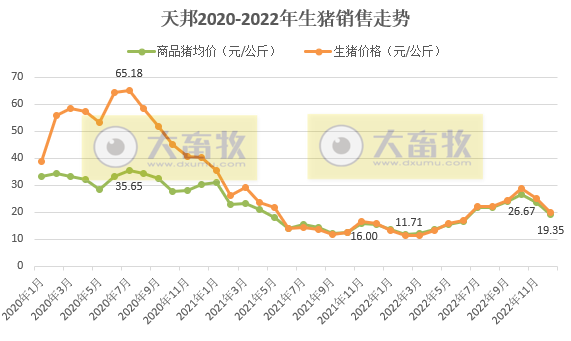 天邦2022年12月及年度生猪销售情况