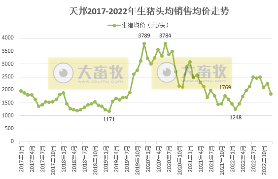 天邦2022年12月及年度生猪销售情况