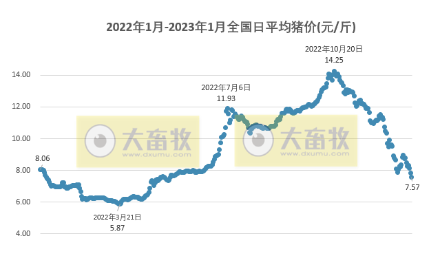 2023.01.05今日猪价