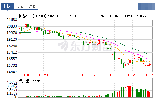 2023.01.05今日猪价