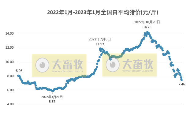 2023.01.06今日猪价