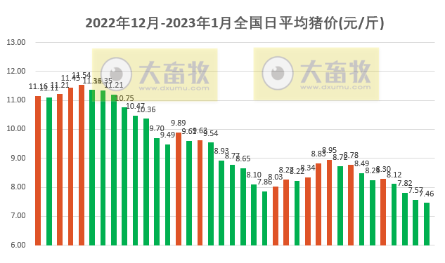 2023.01.06今日猪价