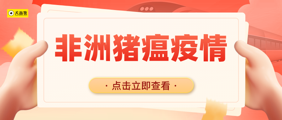 全球2024年11月非洲猪瘟疫情汇总