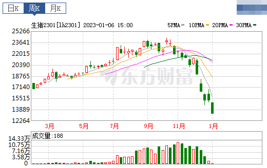 2023.01.08今日猪价