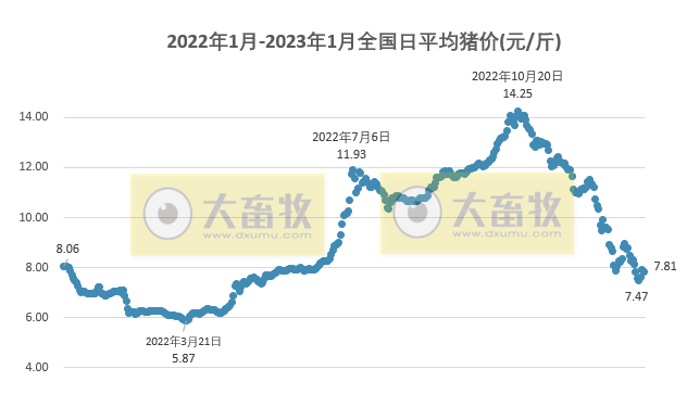 2023.01.09今日猪价