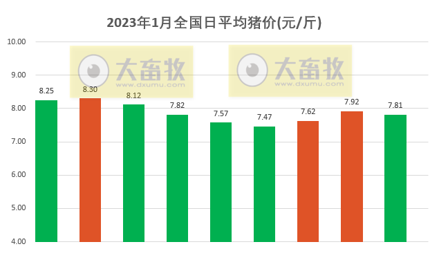 2023.01.09今日猪价