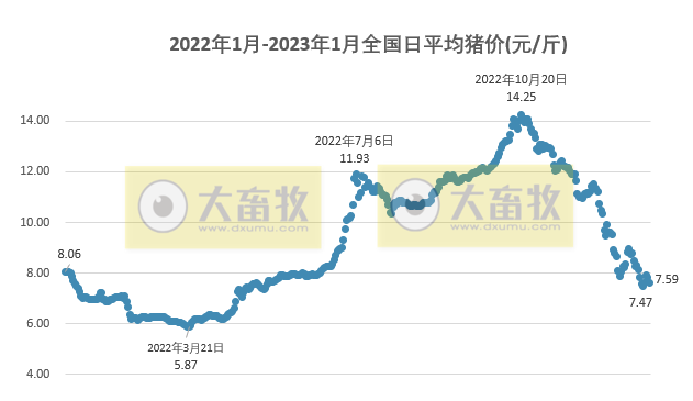 2023.01.10今日猪价