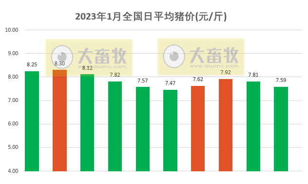 2023.01.10今日猪价