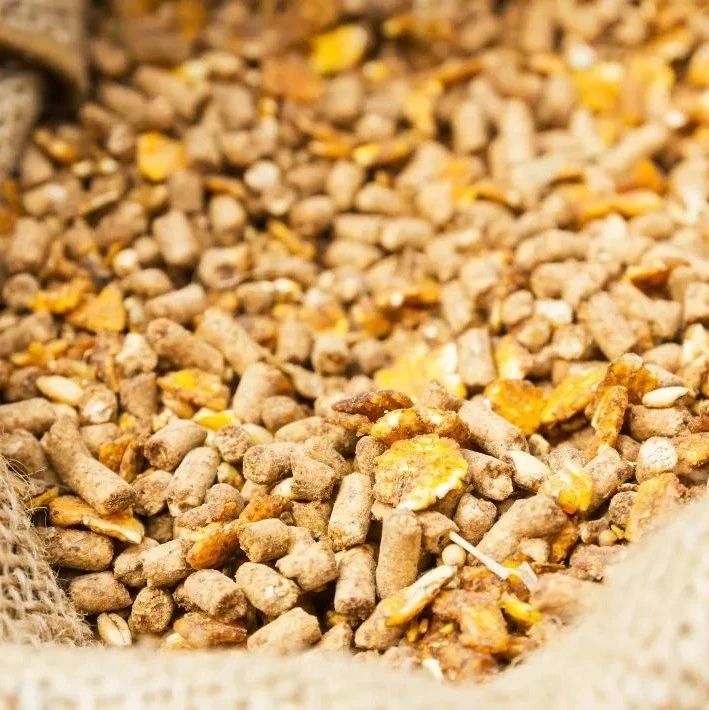 豆粕年报：2023年豆粕期价料将前高后低