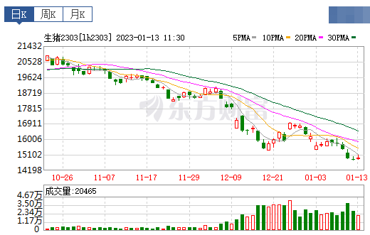 2023.01.13今日猪价