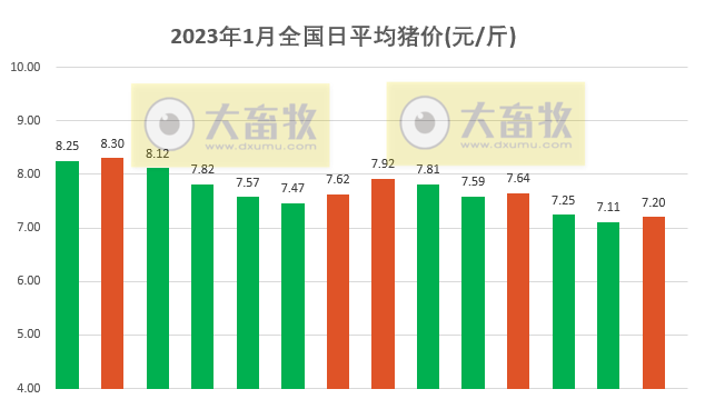 2023.01.14今日猪价