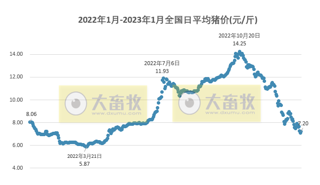 2023.01.14今日猪价