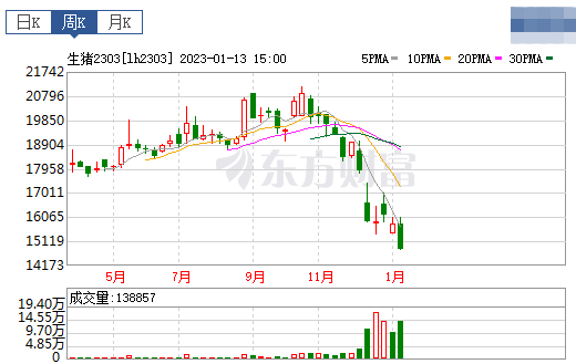 2023.01.15今日猪价