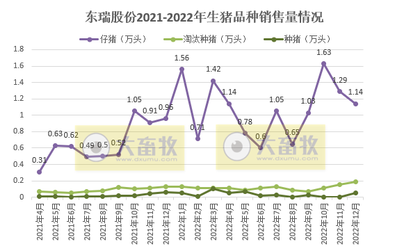 东瑞股份2022年12月及年度生猪销售情况