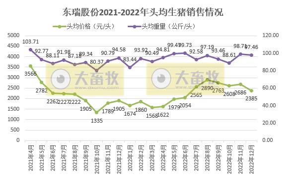 东瑞股份2022年12月及年度生猪销售情况