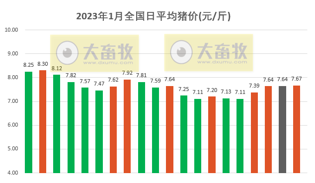 2023.01.20今日猪价