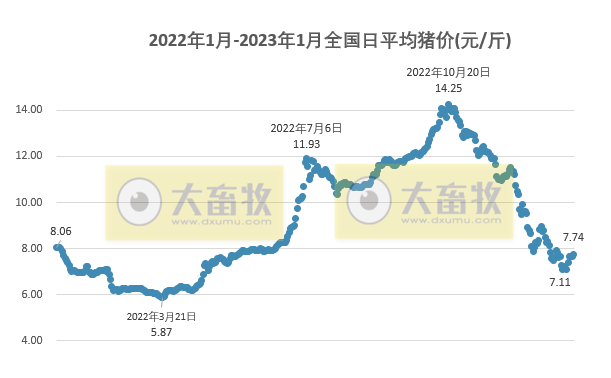 2023.01.21今日猪价