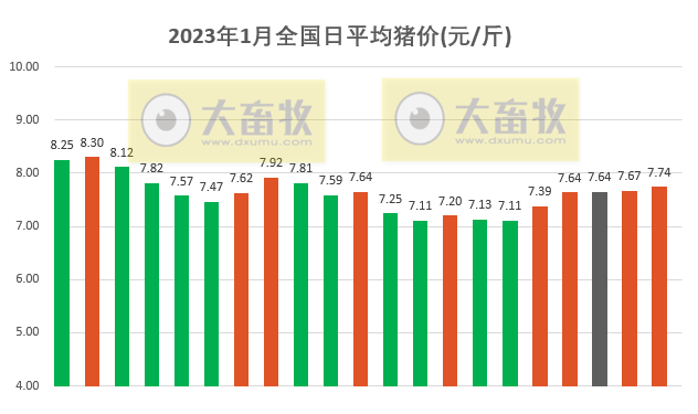 2023.01.21今日猪价