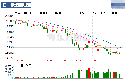 2023.01.21今日猪价