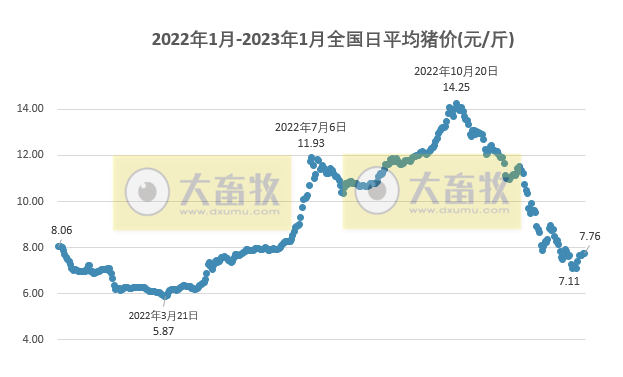 2023.01.22今日猪价