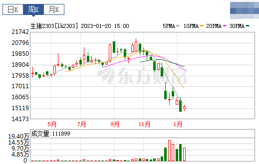 2023.01.22今日猪价