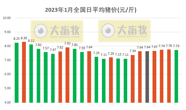 2023.01.23今日猪价