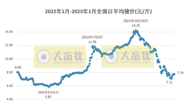2023.01.23今日猪价