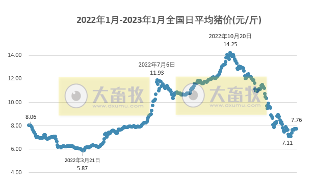 2023.01.24今日猪价
