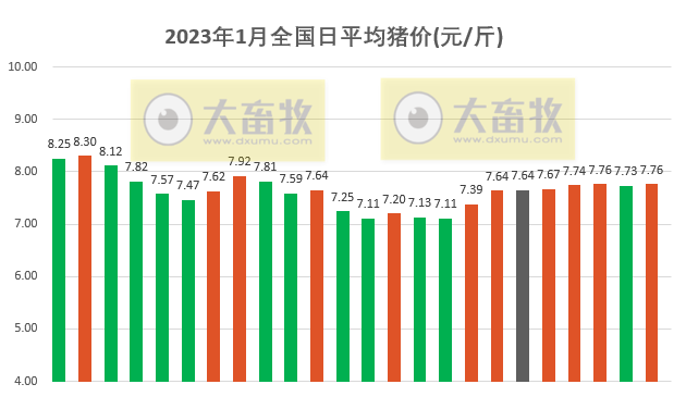 2023.01.24今日猪价