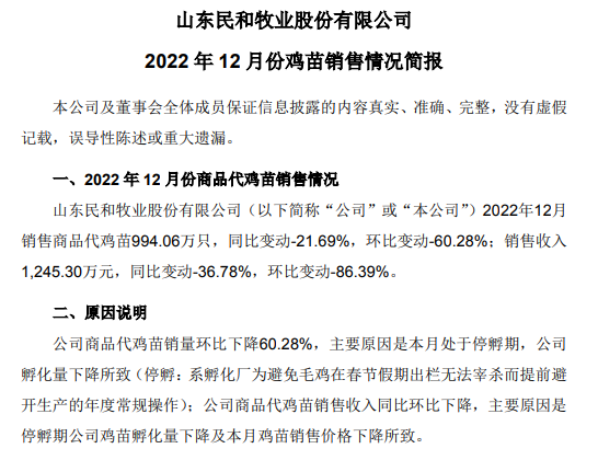 年度销量近4年最低,预计2023年将恢复至3.5亿——民和股份2022年12月及年度鸡苗销售情况